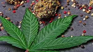 Terpene Image