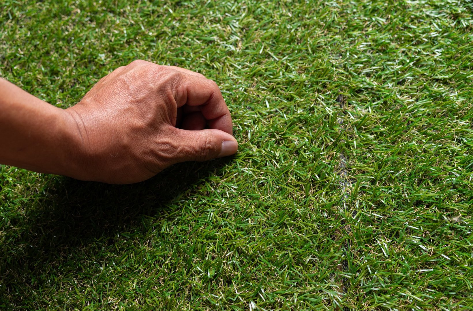 Hands touching the grass