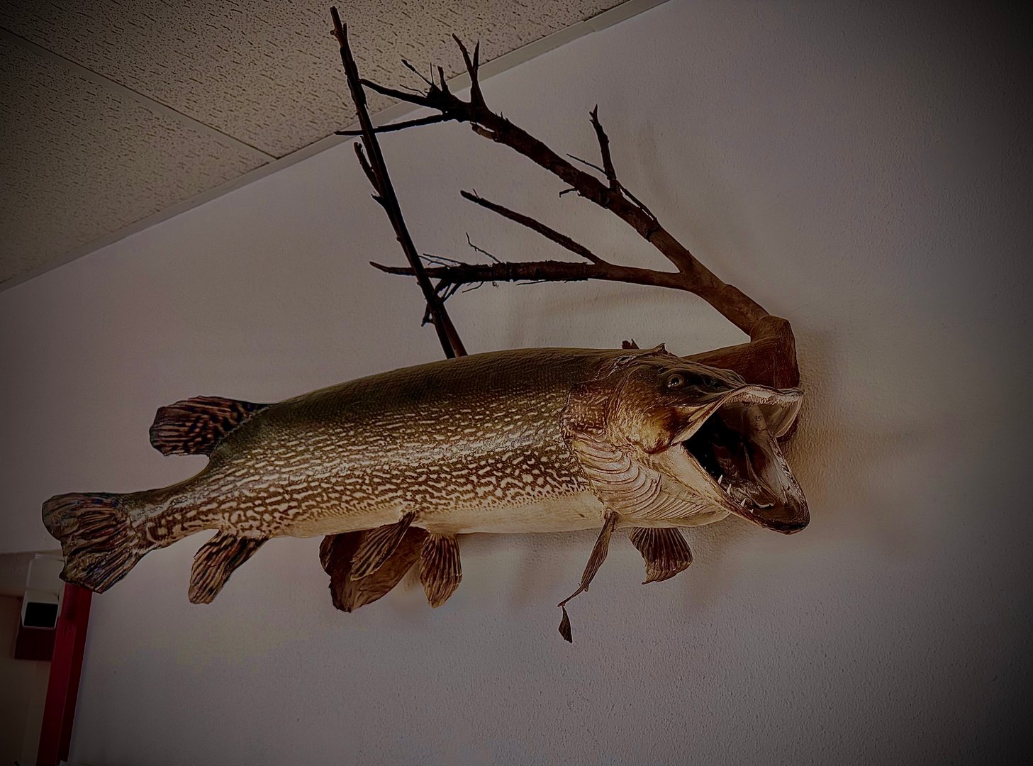 M & W Bait & Tackle Shop products and displays