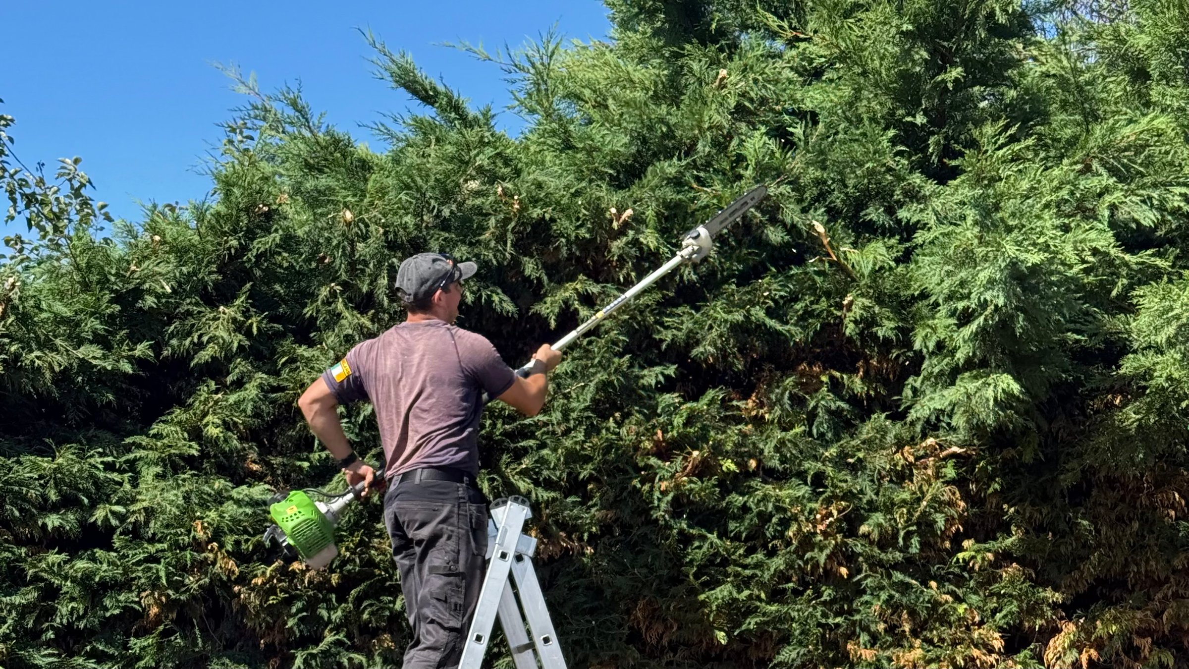 Bear Services gardening and landscaping work