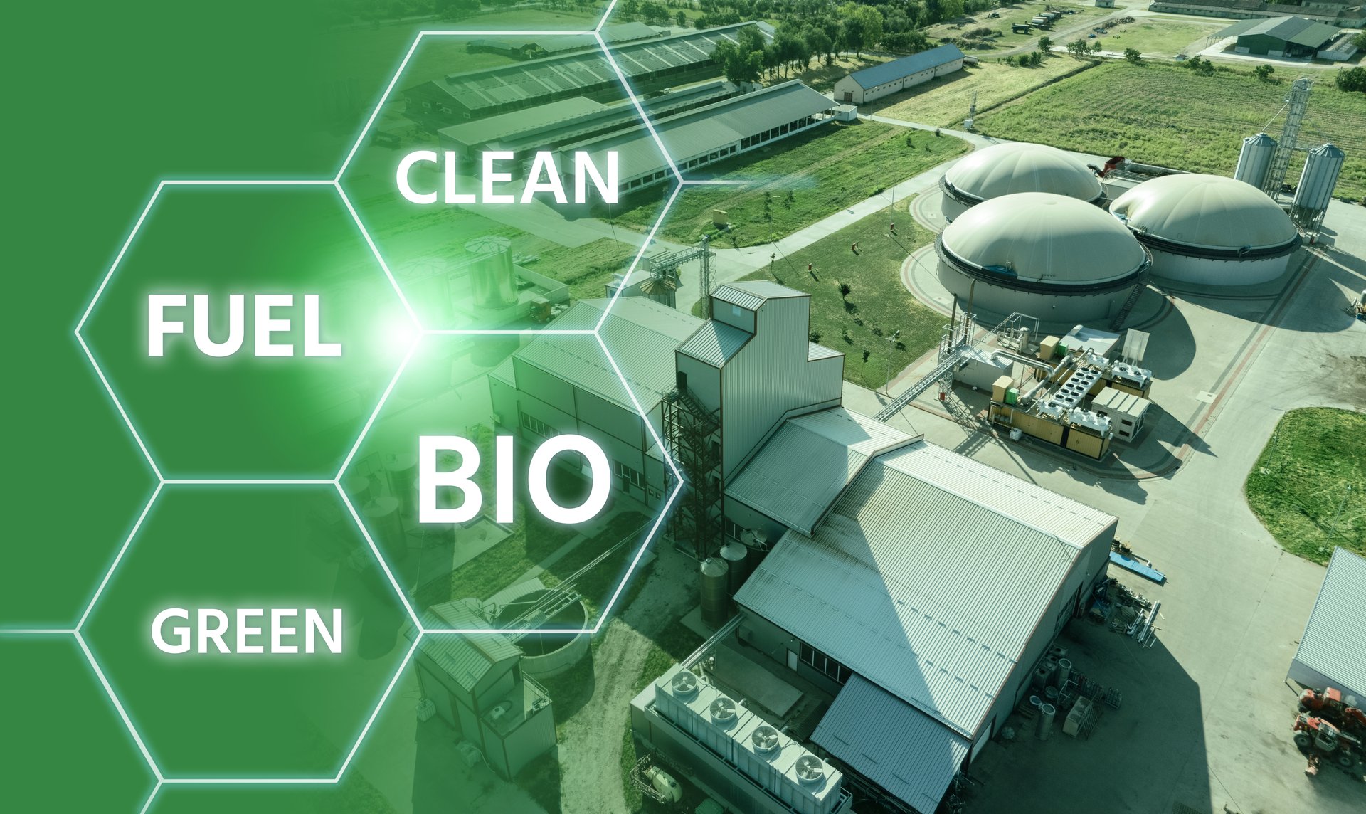 Carbon neutral biogas decarbonization concept