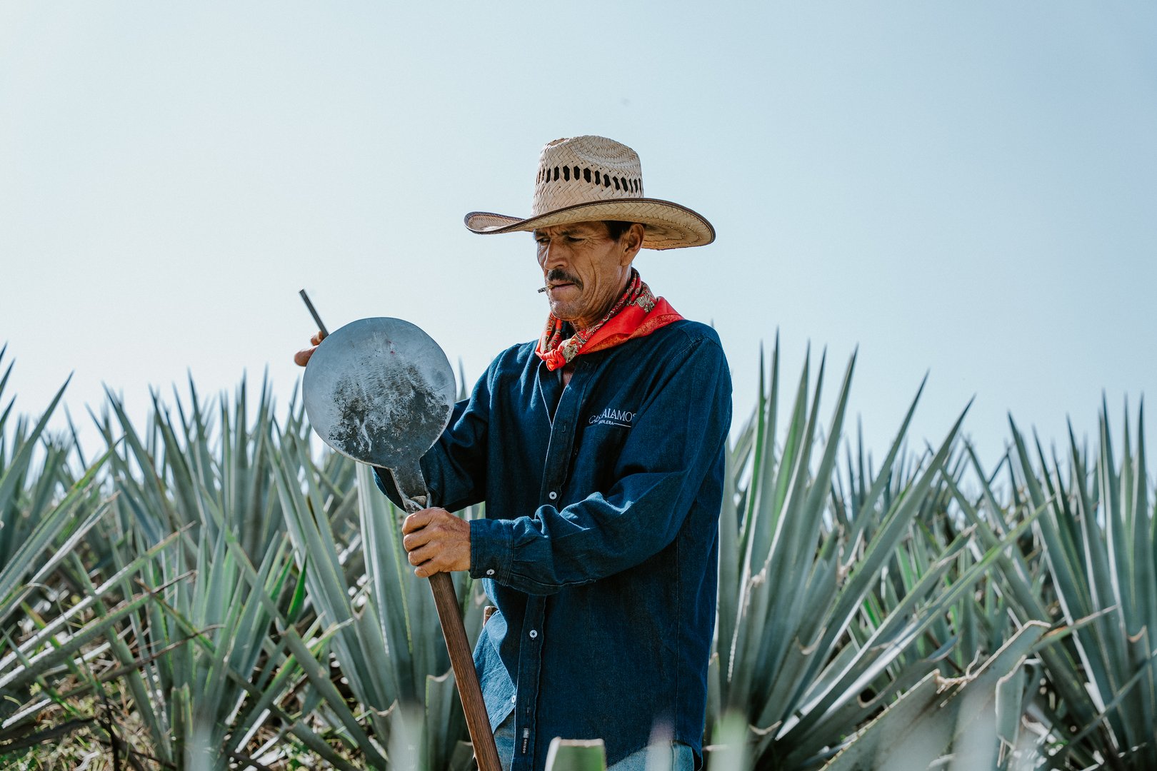 Vista de las instalaciones de Casa Álamos Tequilera