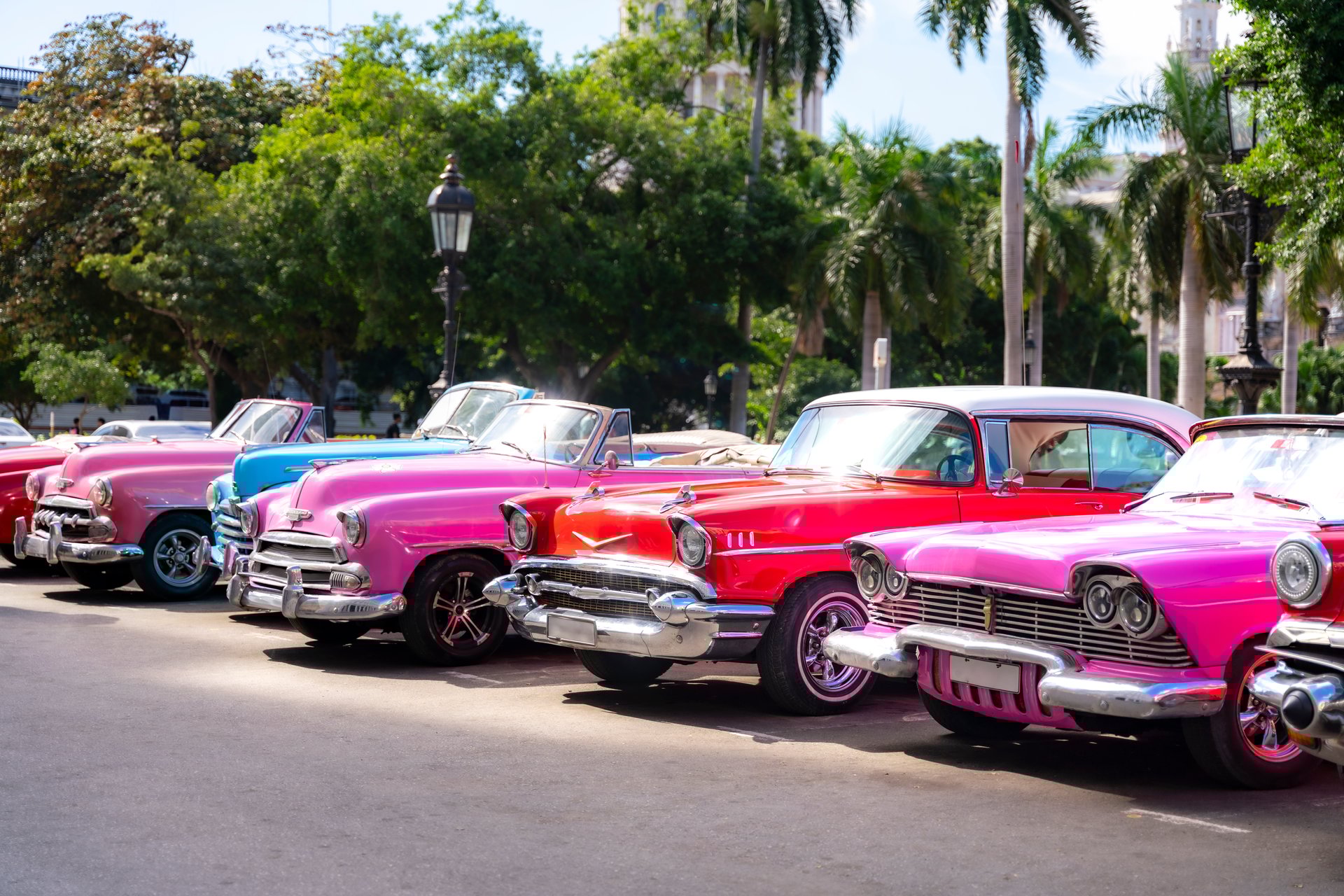 A row of brightly colored classic American cars, including red, pink, and blue convertibles, parked in Havana, Cuba, near colonial buildings.