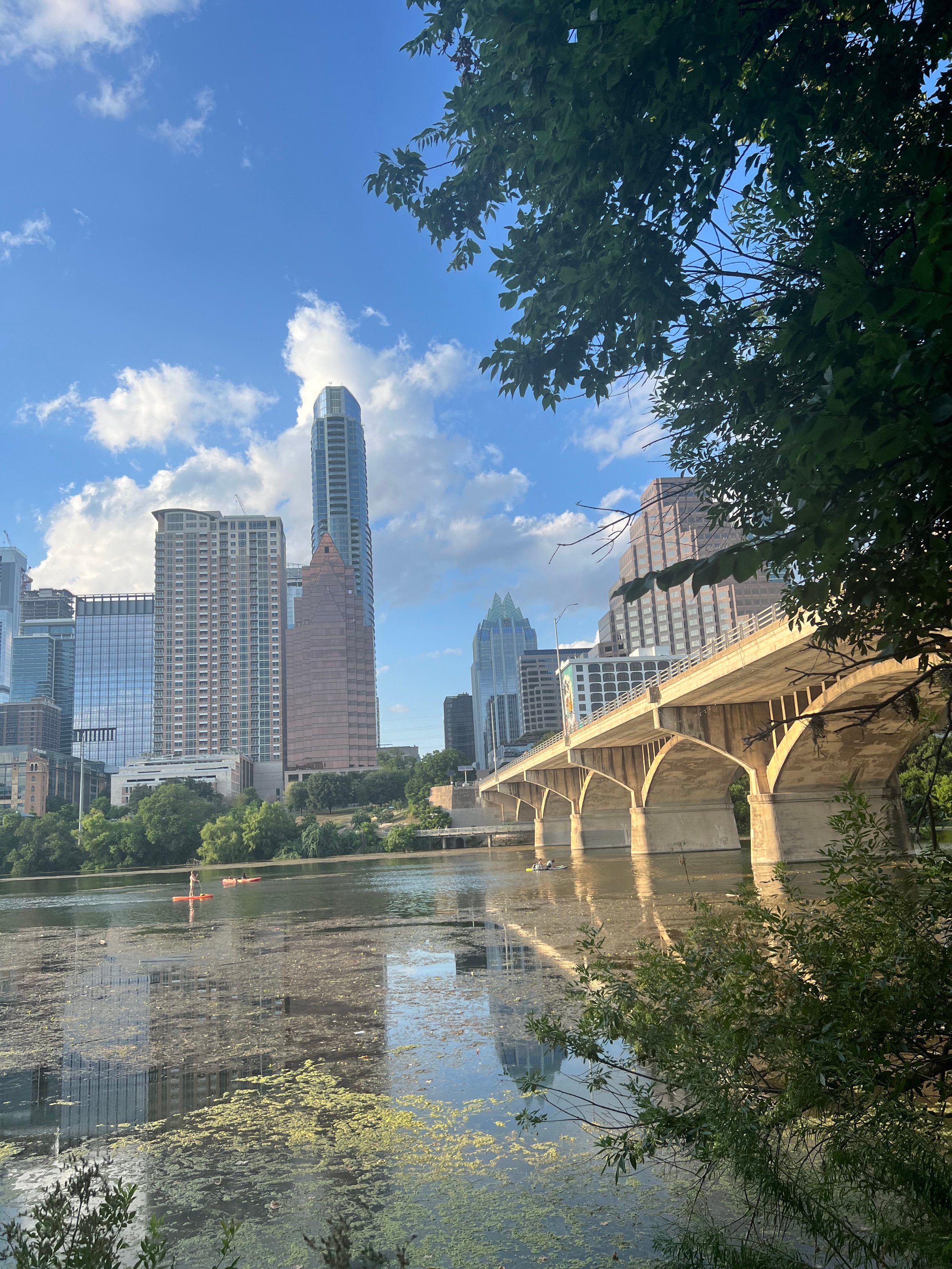 City skyline with high-rise buildings and a bridge over a calm river, trees framing the scene under a blue sky.