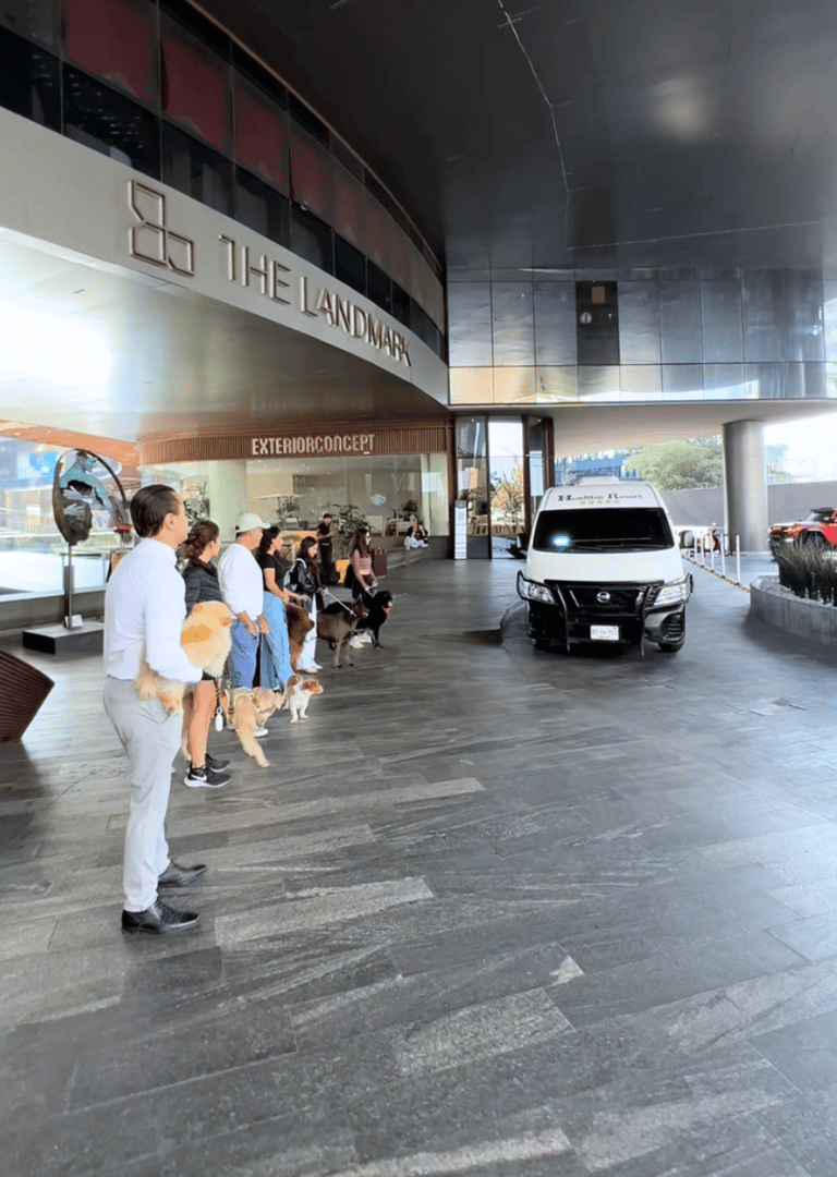 Guardería con Transporte - Huellitas Resort