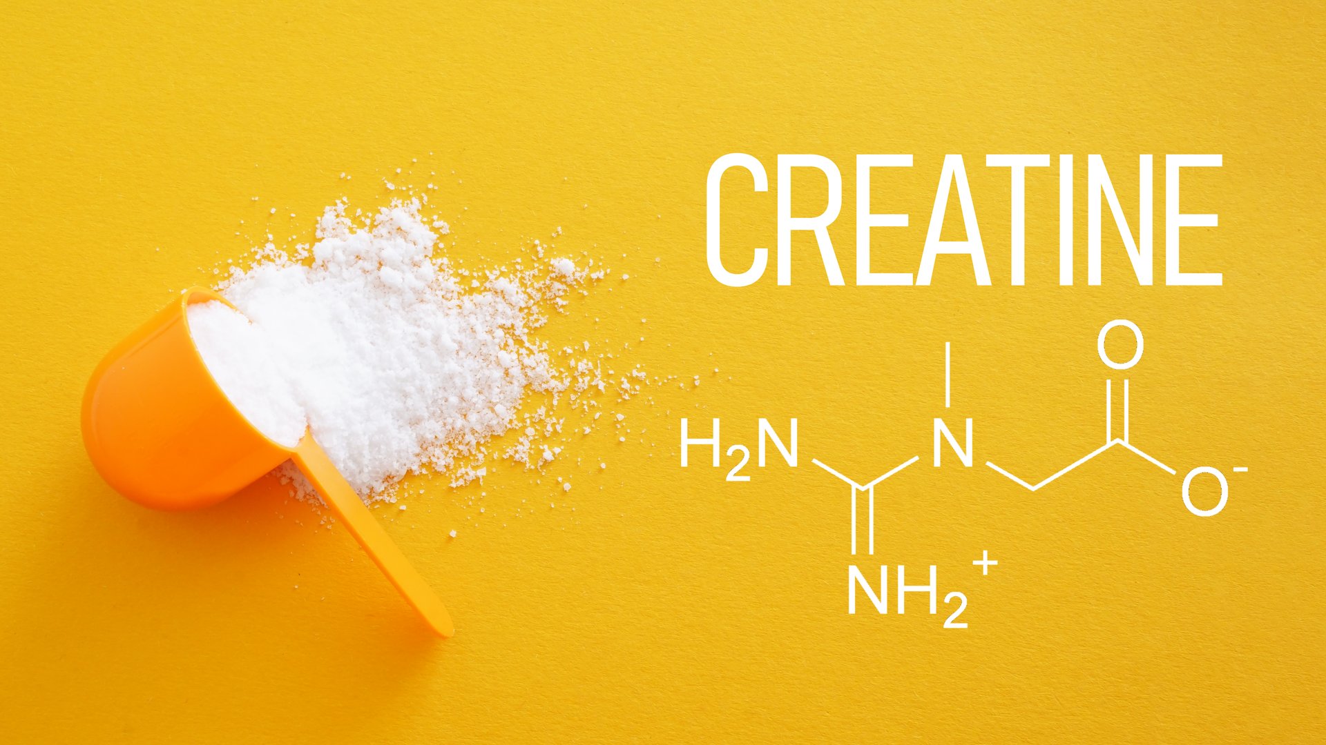 Creatine Powder Supplement