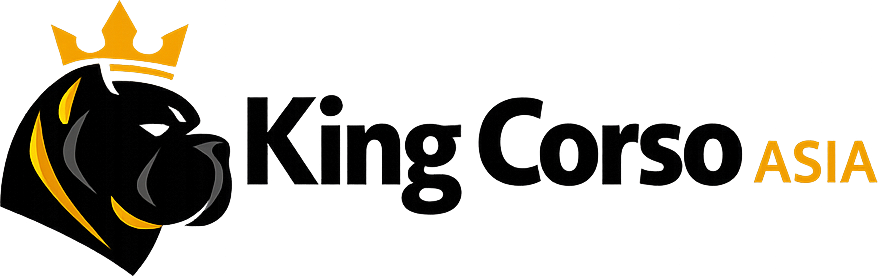 King Corso Asia