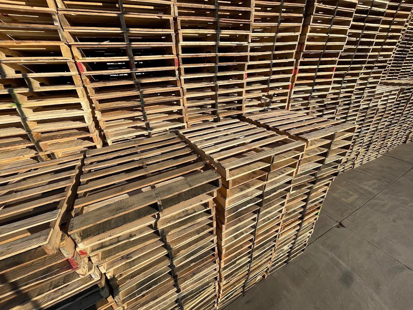 Pro Pallets warehouse storage