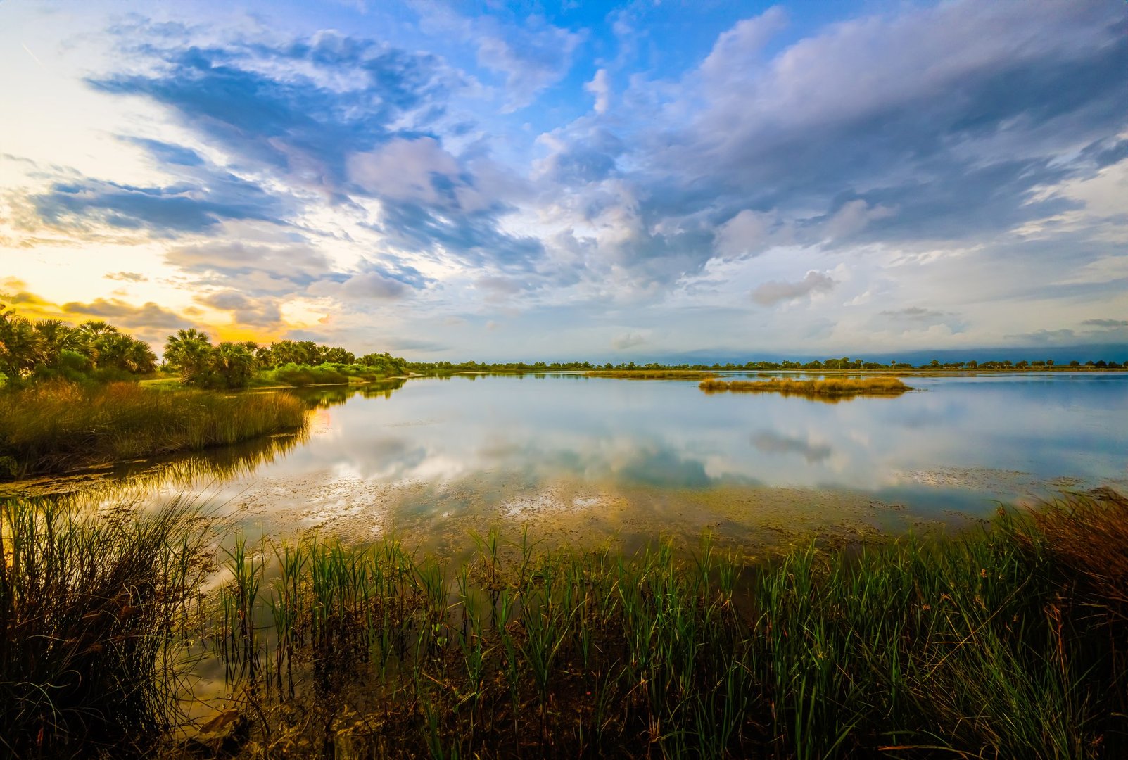 Tranquil Oasis: The Freshwater Lighthouse Pool at St. Marks Wildlife Refuge, under a canopy of cloudy skies, surrounded by lush grasses, offers a serene escape into nature's embrace.