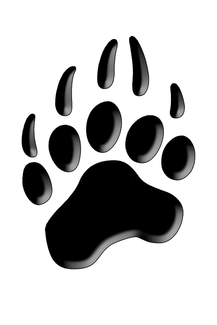 Kodiak Decks Bear Claw Logo