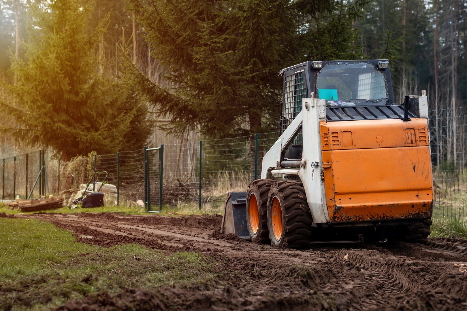 An orange and white skid steer loader parked on a dirt path with visible tire tracks, bordered by a metal fence and surrounded by tall evergreen trees.