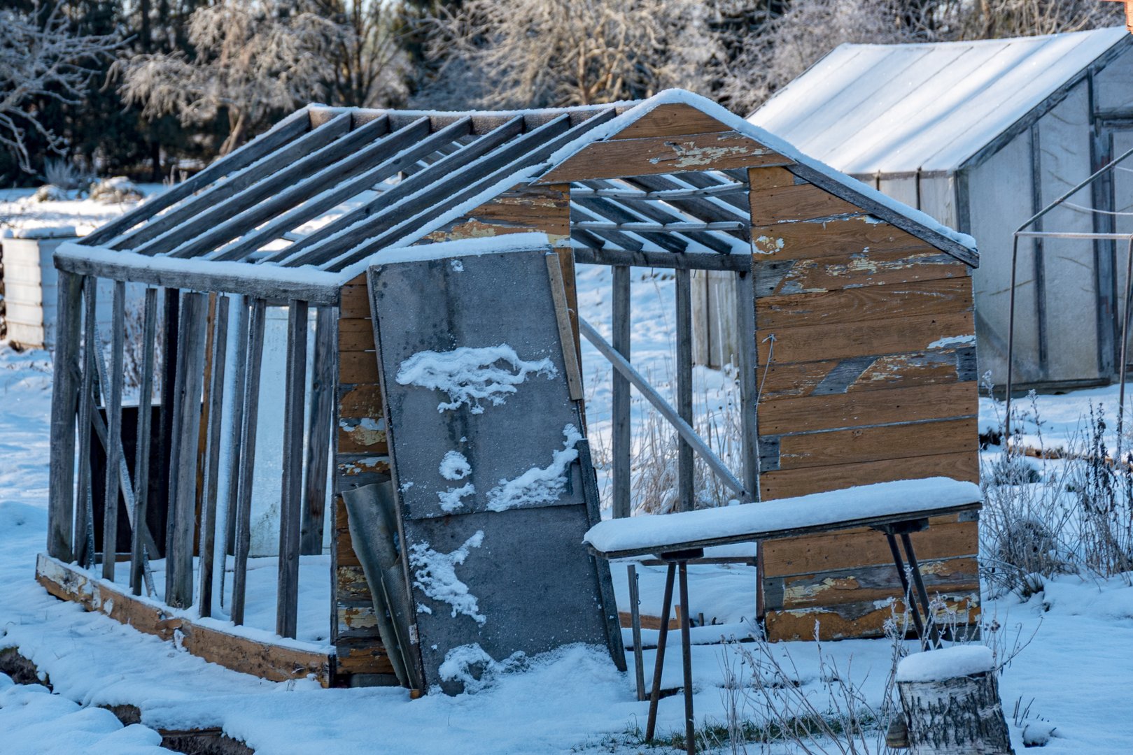 Old greenhouse in winter