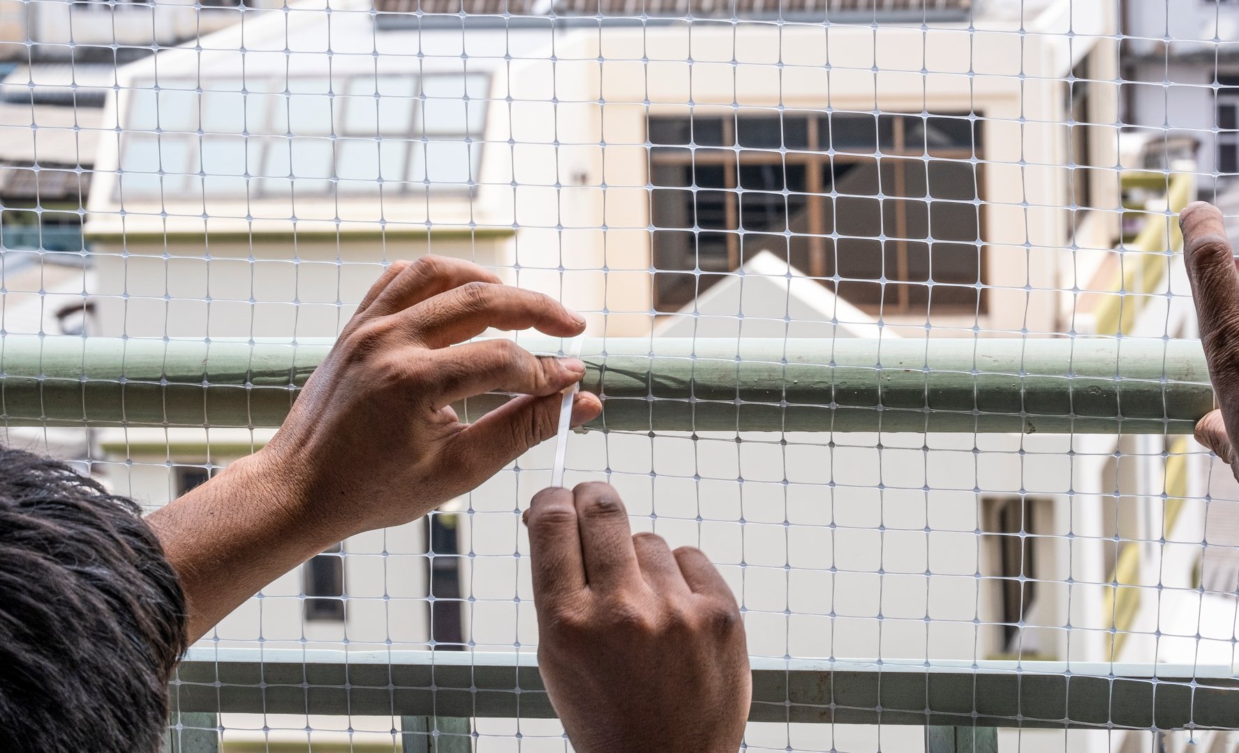 technician worker man install plastic net for protect pigeon bird in balcony apartment by use cable ties with balcony railing . Professional service man setup netting birds for clean and hygiene.