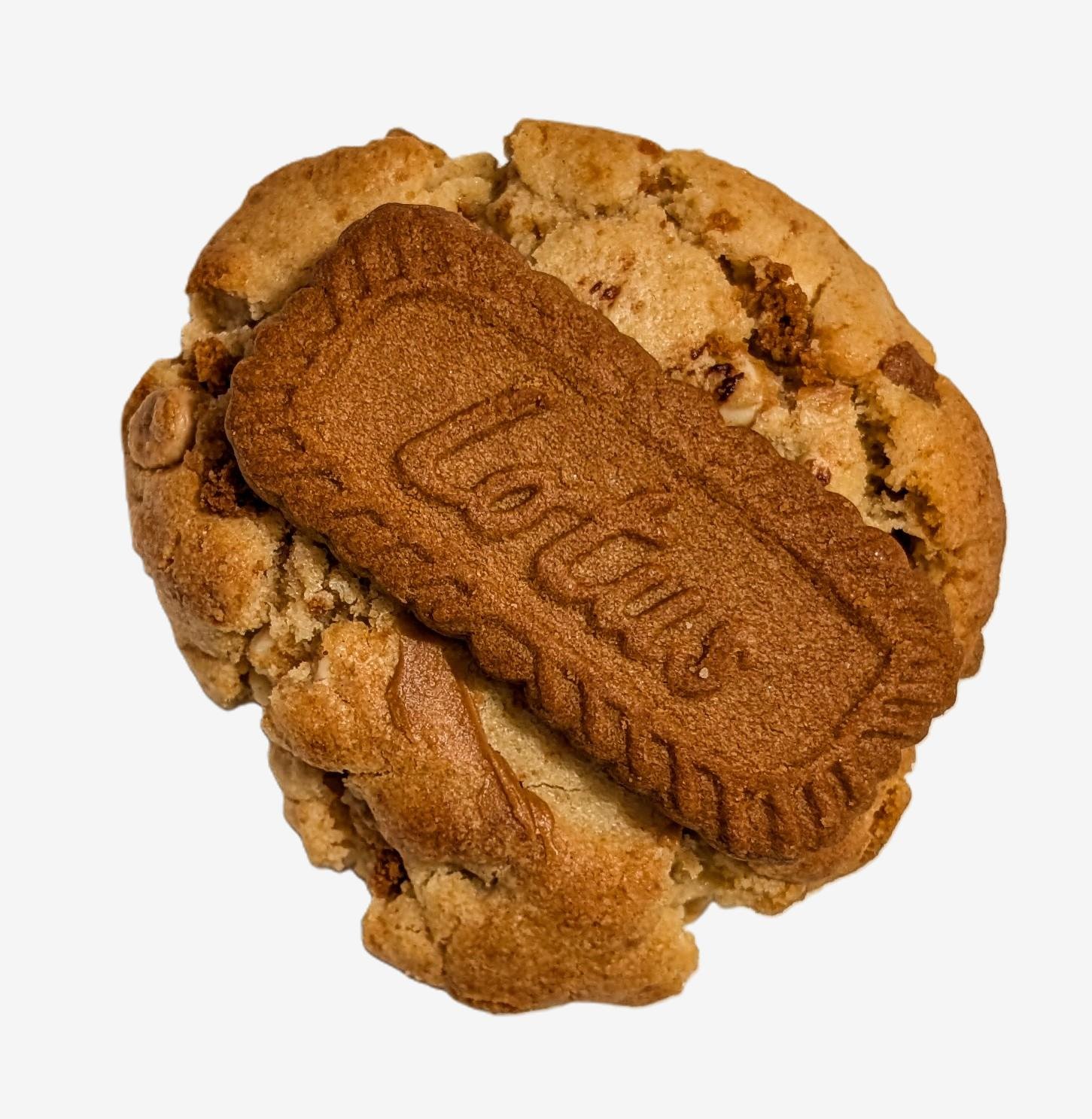 Lotus Biscoff cookie