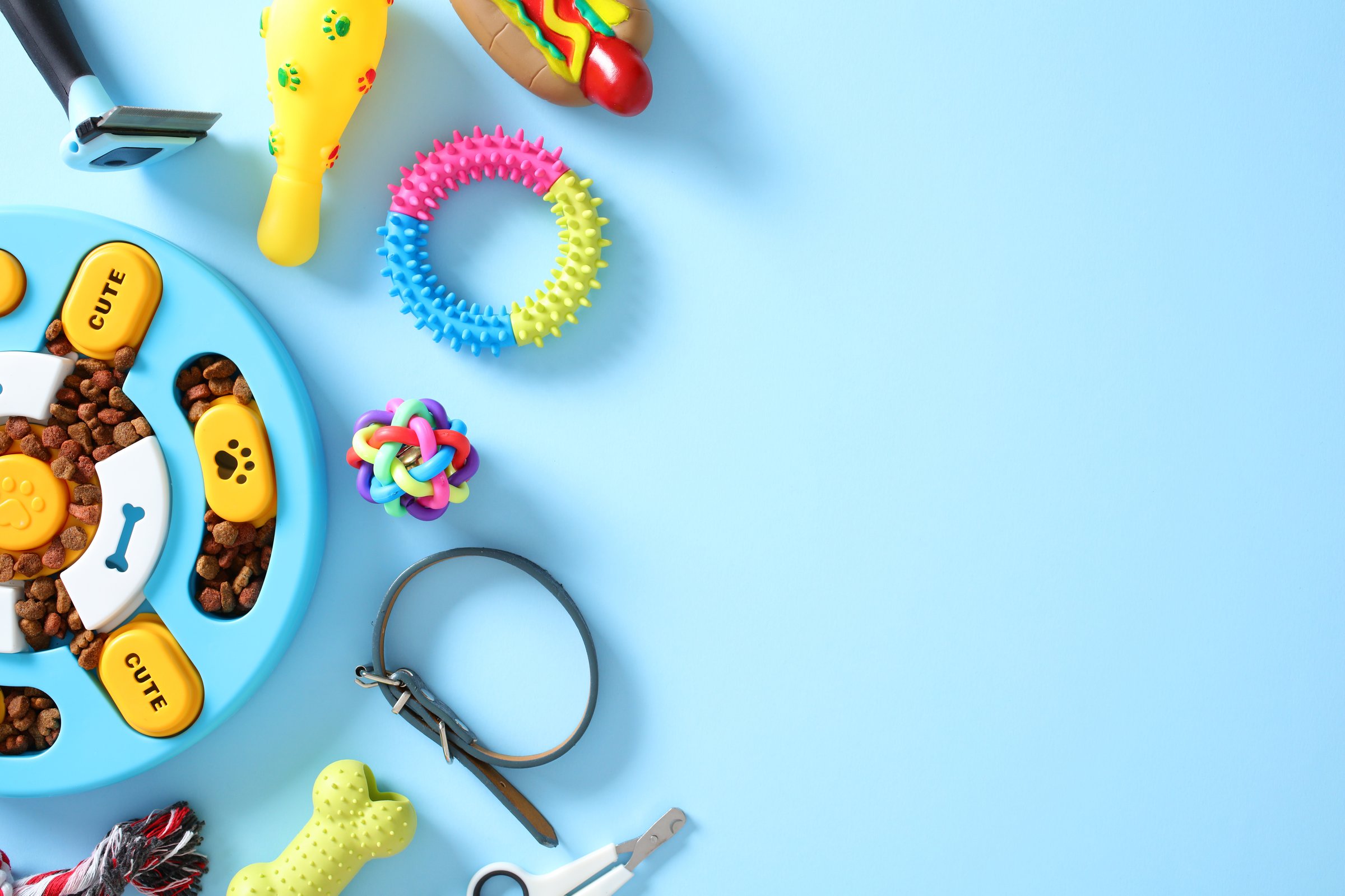 Dog care concept. Top view toys, food, puzzle feeder, and grooming accessories on blue background