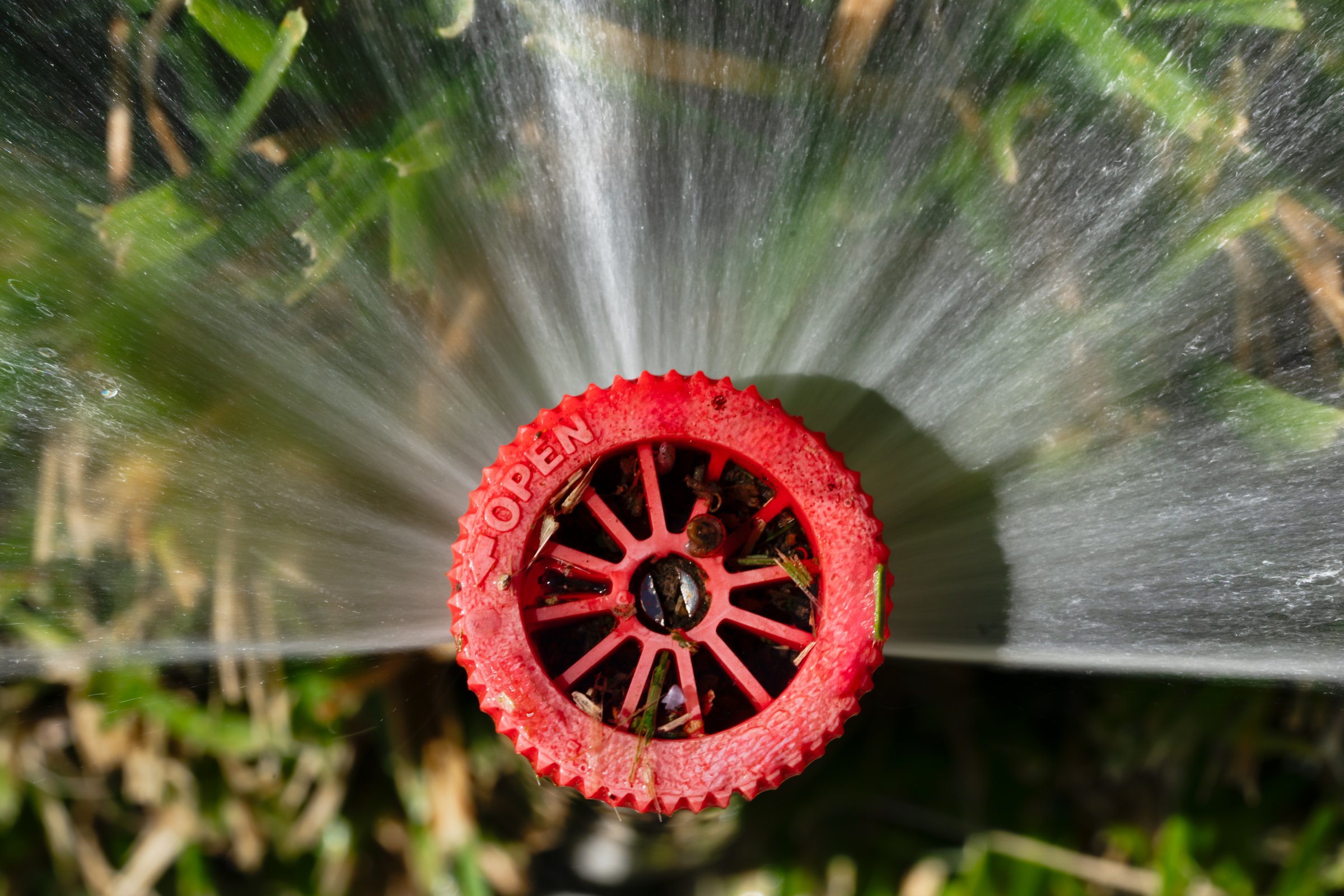 Overhead close up of a in-ground sprinkler head.
