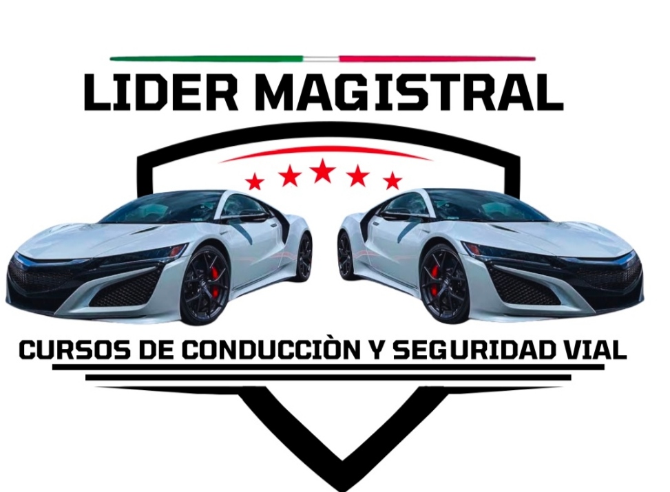 Logo de LIDER MAGISTRAL