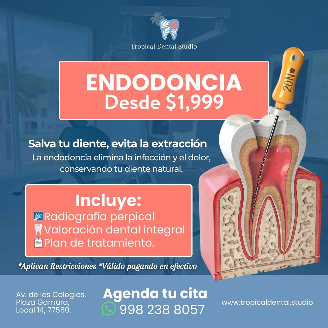 Promoción dental diciembre