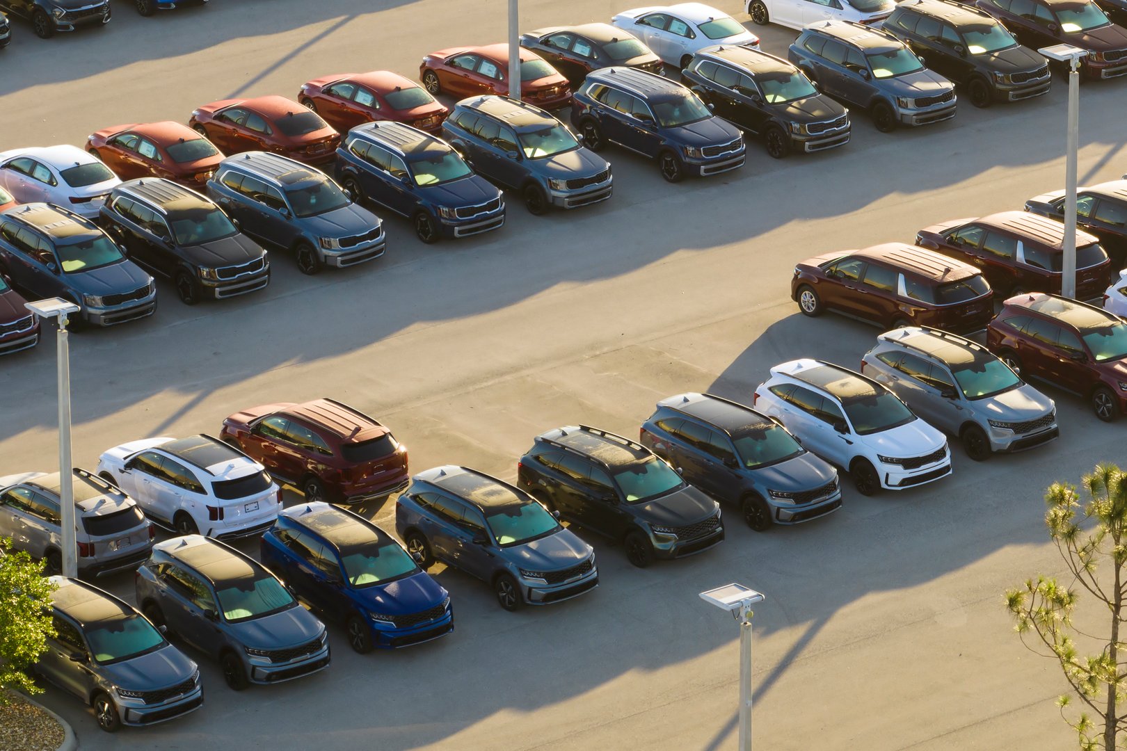 Large parking lot of local dealer with many brand new cars parked for sale. Development of american automotive industry and distribution of manufactured vehicles concept.
