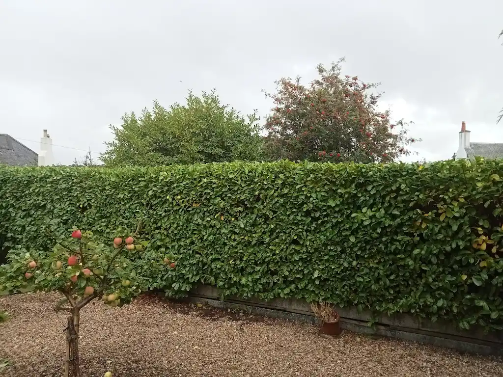 After maintenance - Project 4