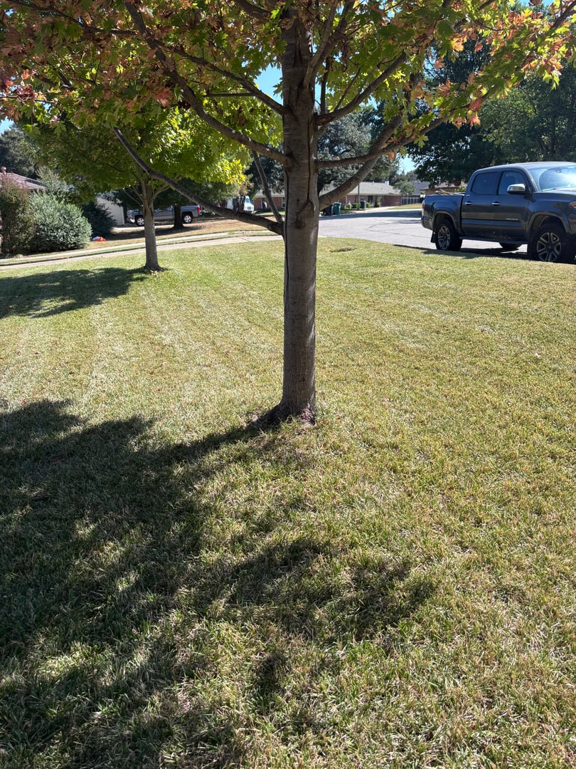 Expert home exterior maintenance