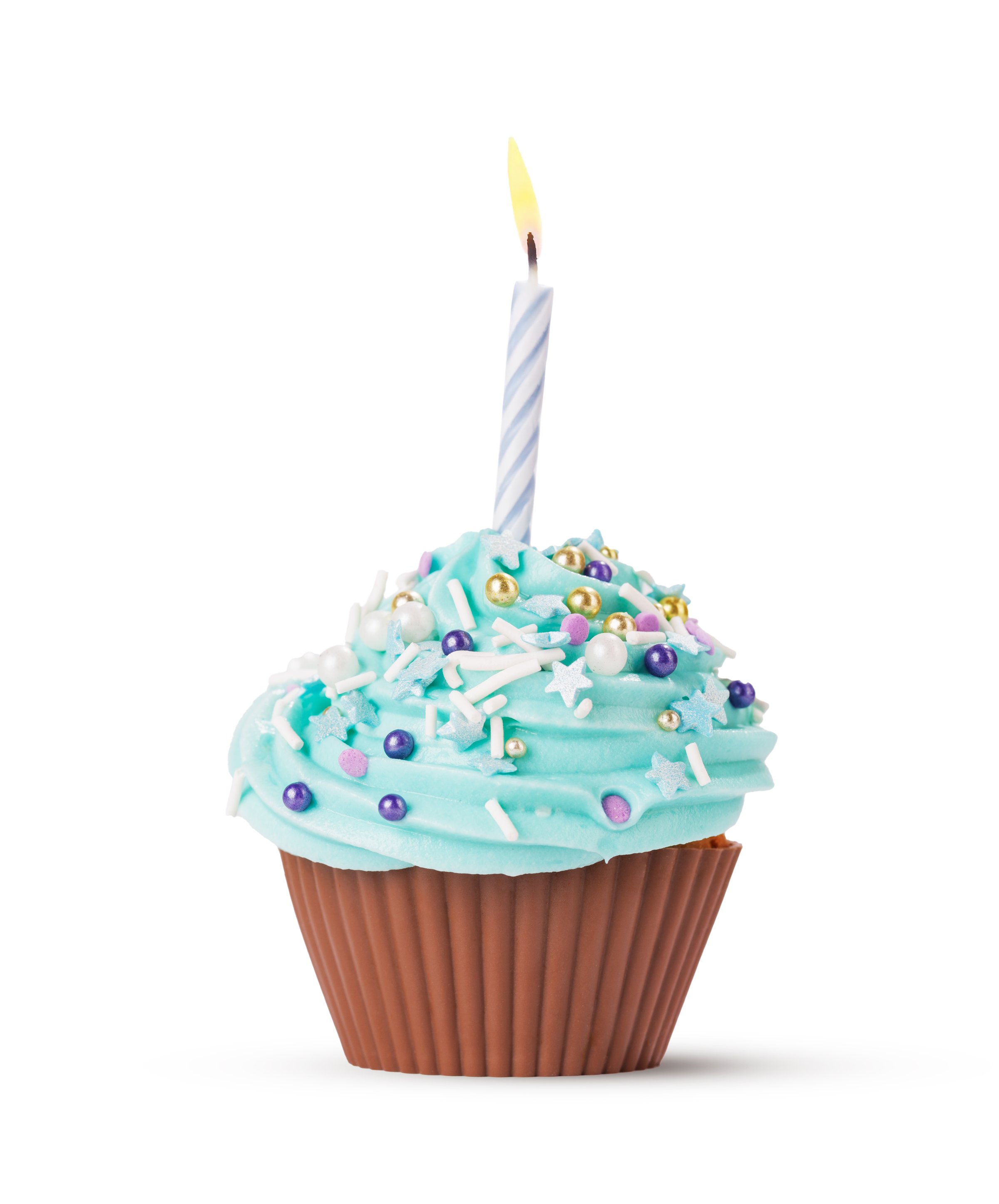 Festive Cupcake