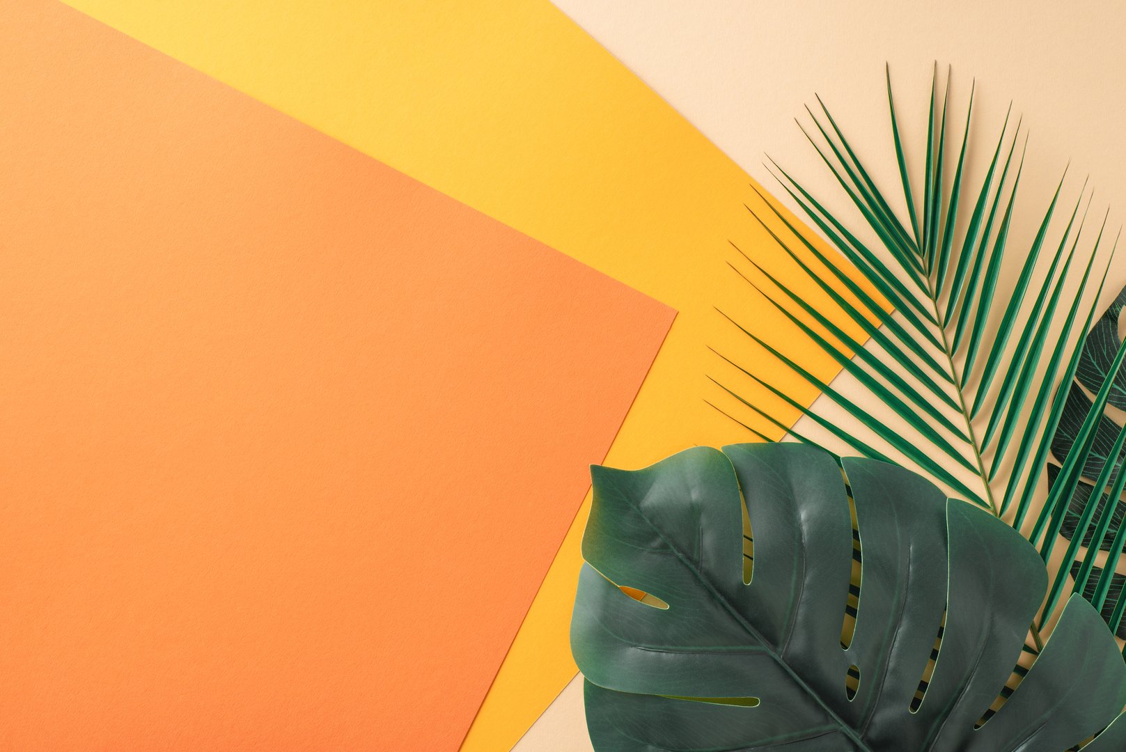 Colorful tropical pattern