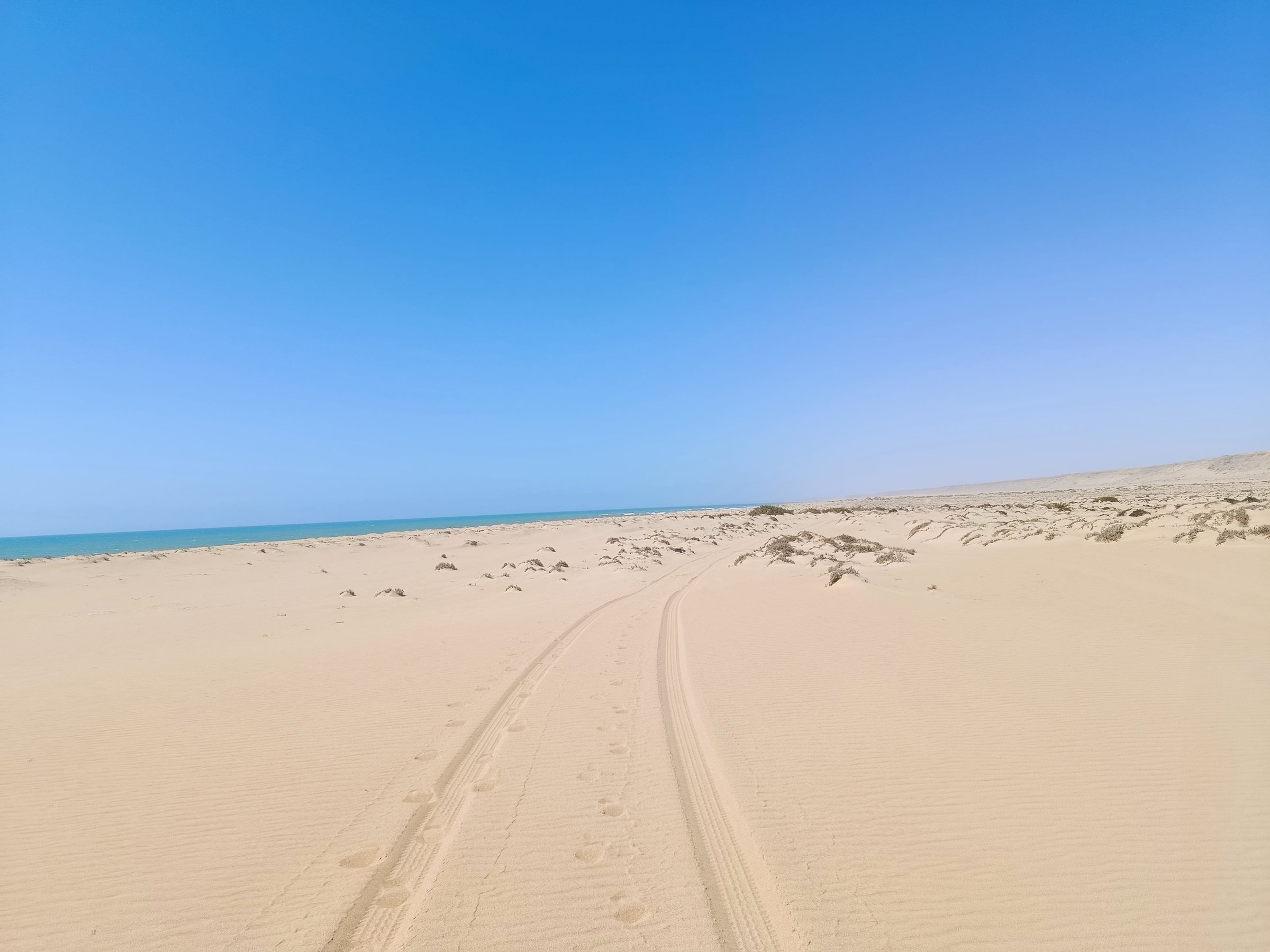 Car tire tracks on the beach sand