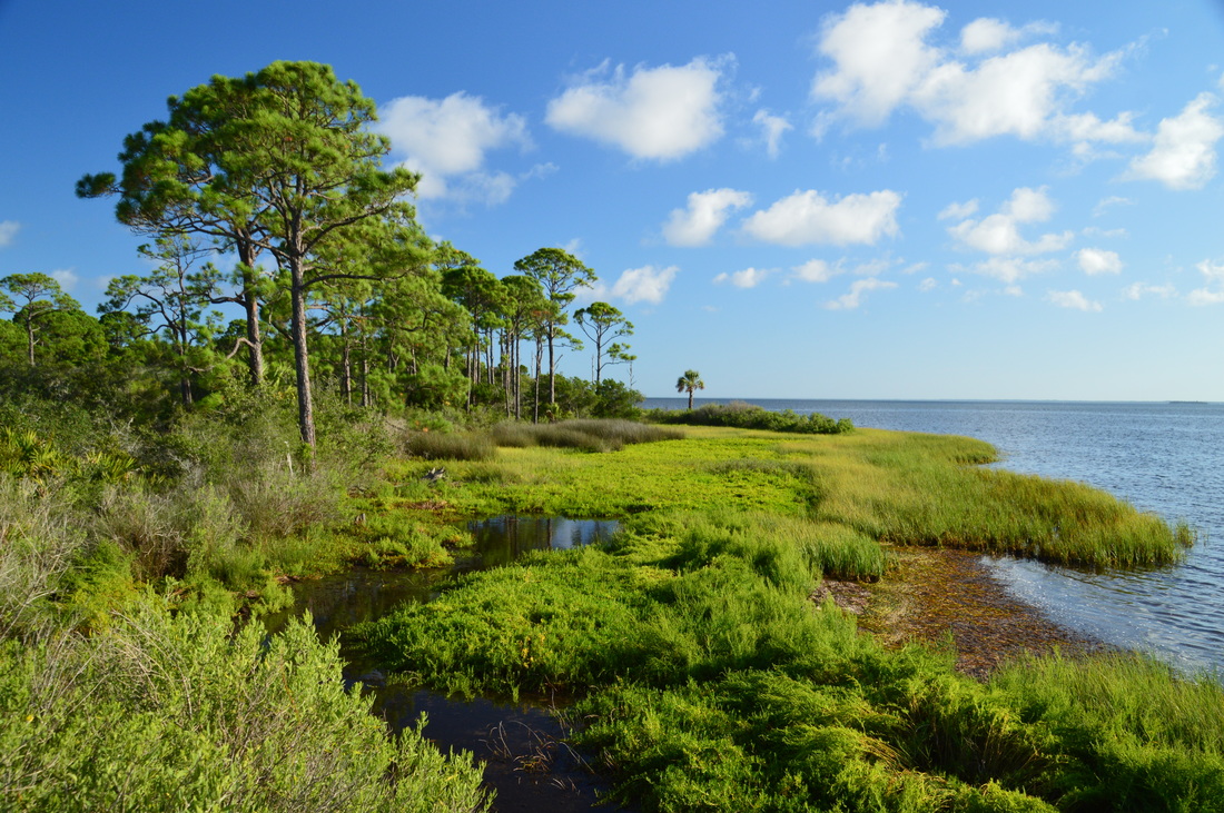 Beautiful woman hiking and enjoying nature at St Joseph Peninsula State Park near SeaCliffs Cape San Blas