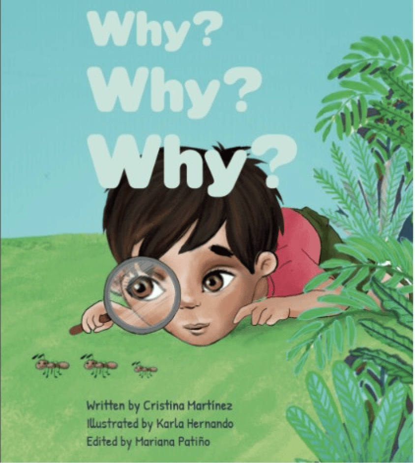 Why? Why? Why? - Portada del libro