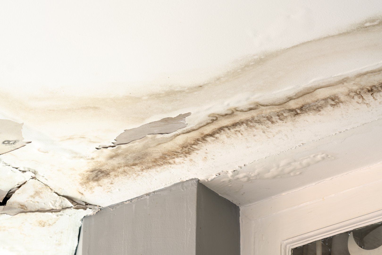 Ceiling panels with fungus outside house from water pipes damaged or rainy leaked. Office building or house problem for house service.