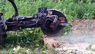 Professional stump grinding service