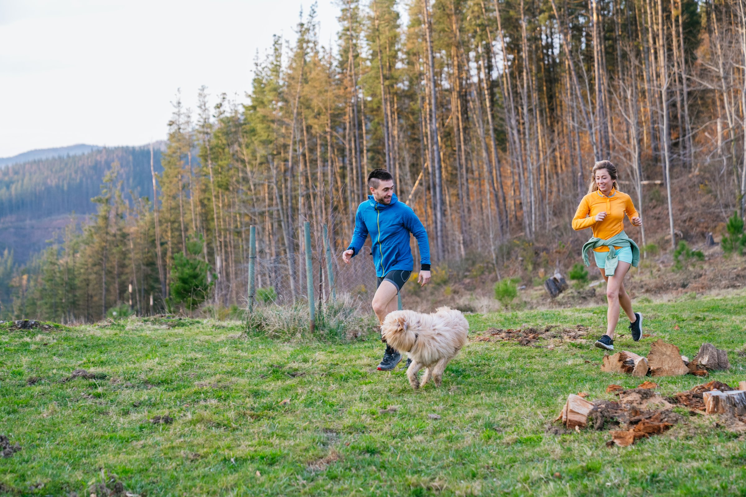 Young couple jogging joyfully with their furry friend through a stunning mountain meadow, embracing nature and an active lifestyle