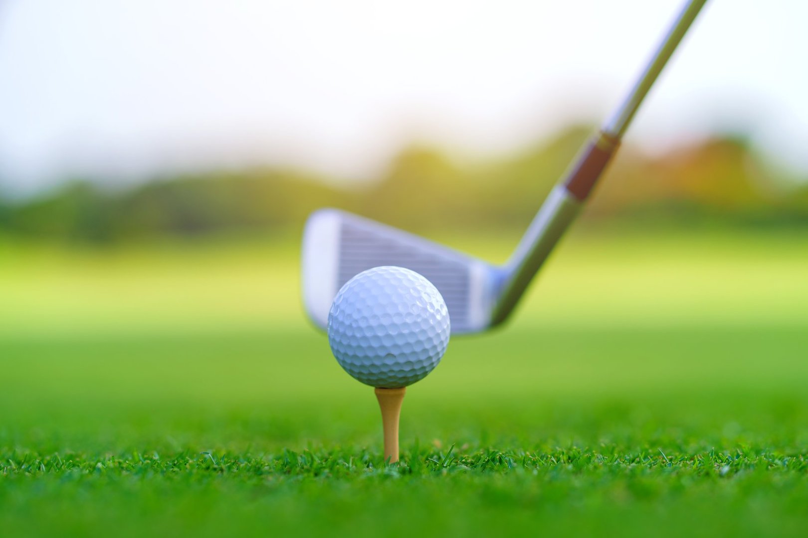 Golf ball on green grass ready to be struck on golf course.