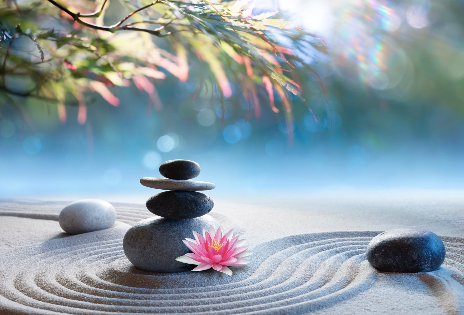 Rocks On Raked Sand In Japanese Rock Garden