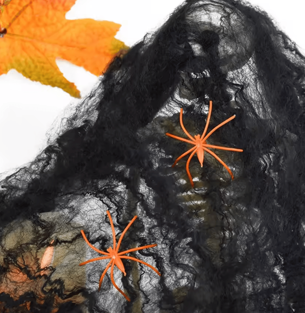 Spider Web Image 3