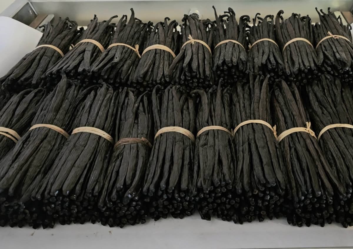 Premium Grade Vanilla Pods