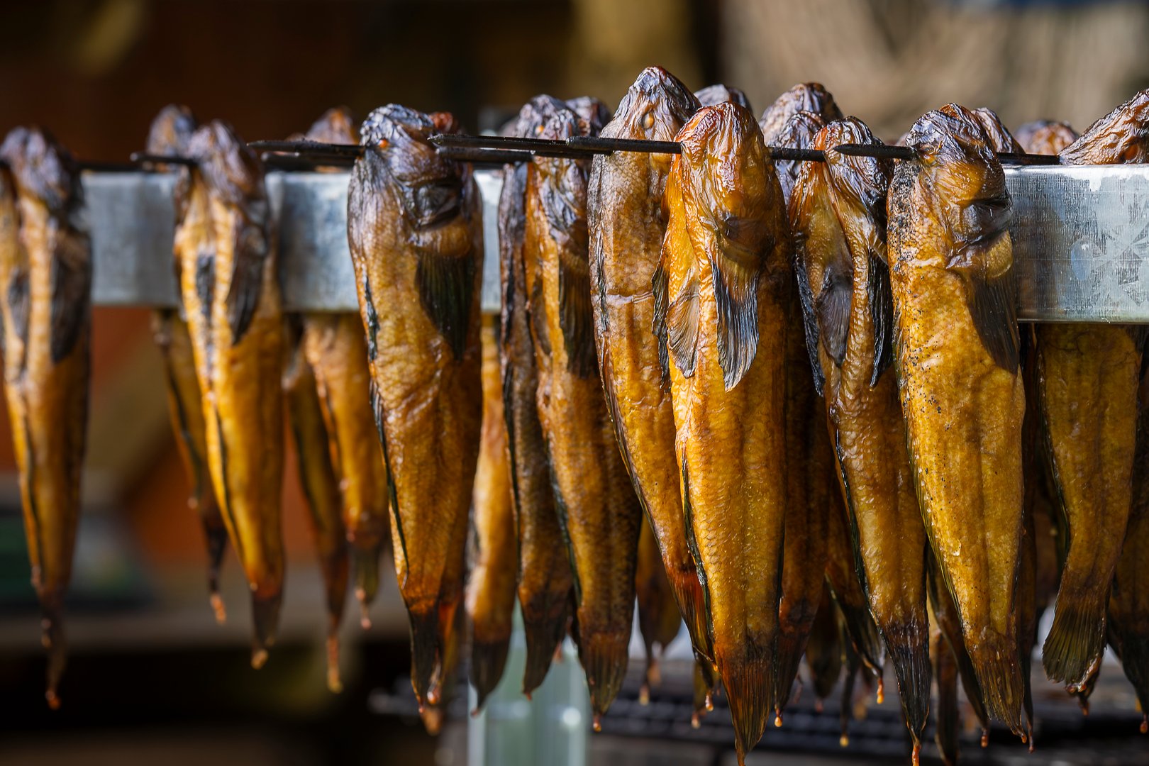 Smoked fish (round goby fish) in a smokehouse. Hot smoked  round goby fish close up.
