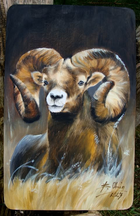 Muflon 1