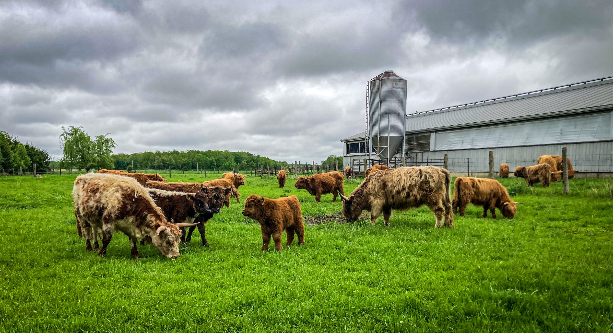 Rich State Productions authentic work showcasing our professional quality and artistic vision