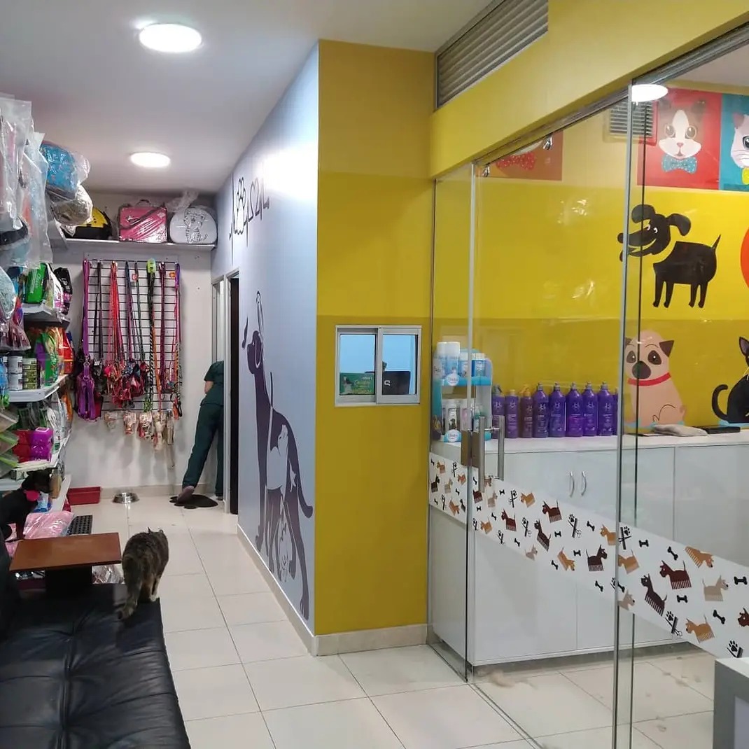 Pet store interior with colorful walls, shelves of pet supplies, a cat walking on a bench, and a glass door to a grooming area.