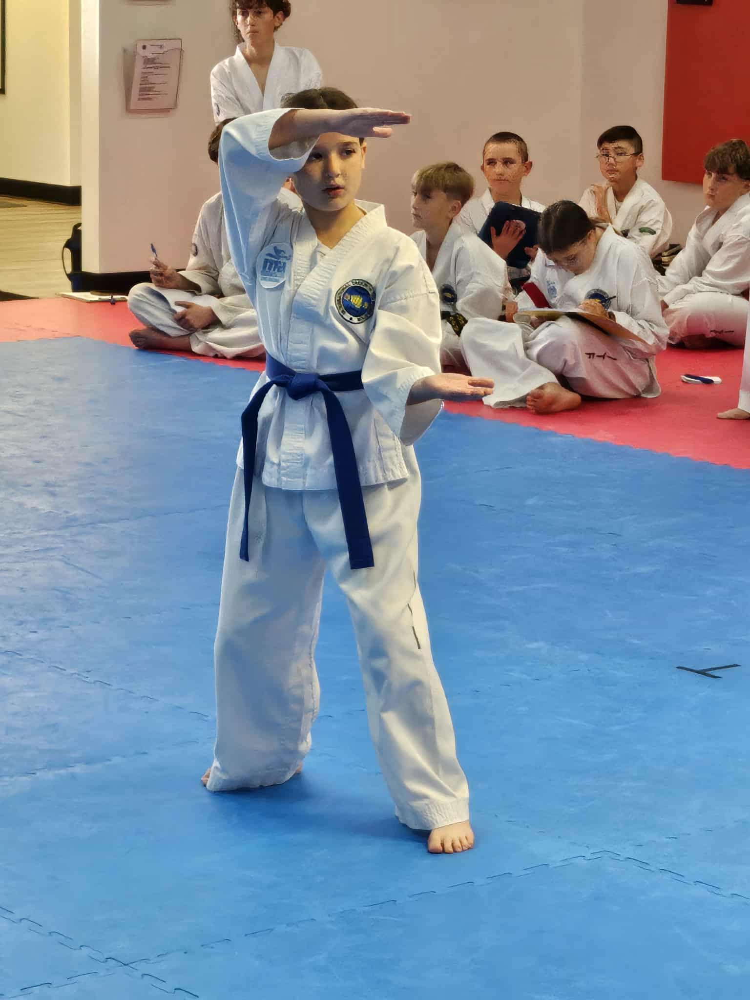 Students practicing martial arts