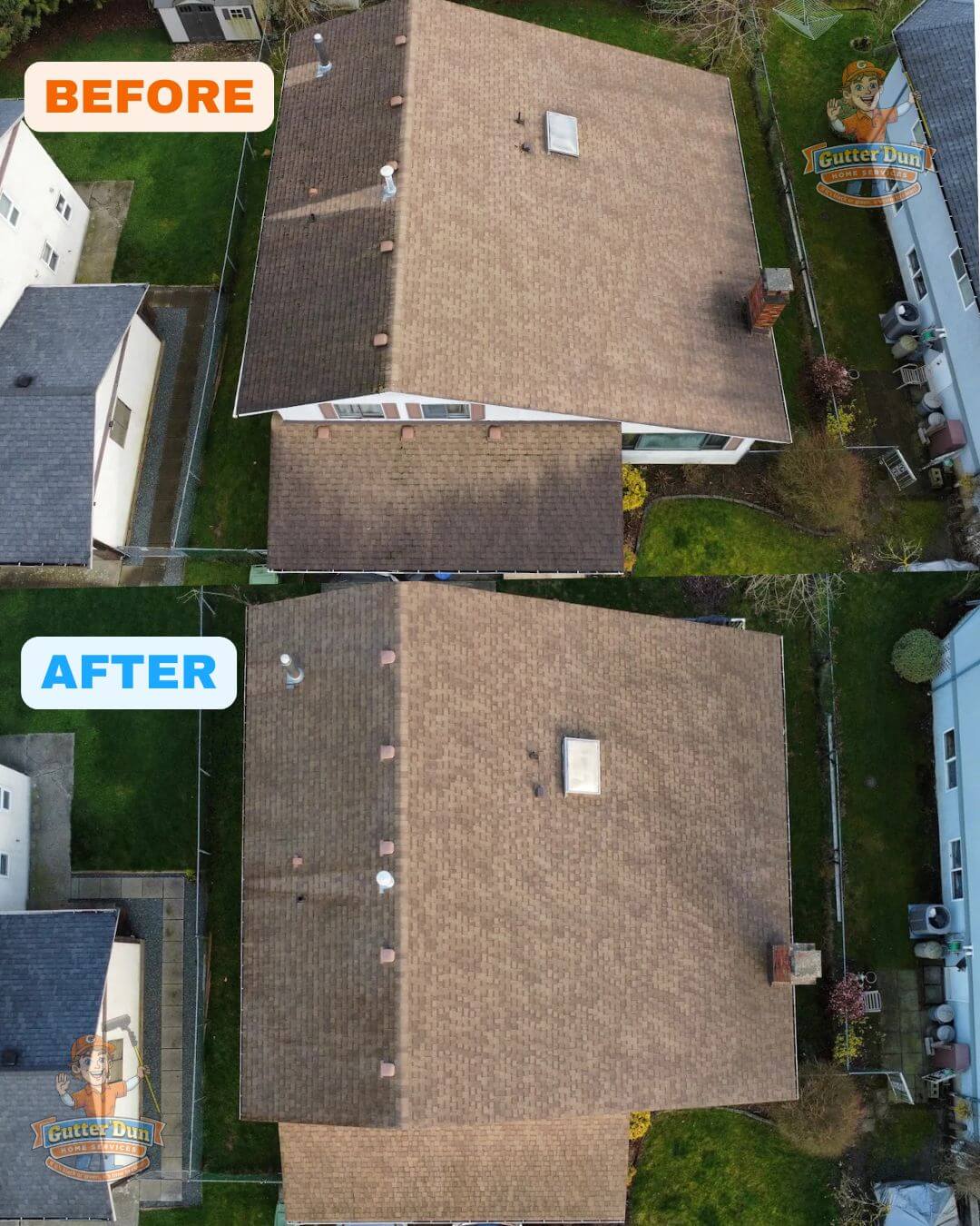Clean stone pathway with vibrant plants