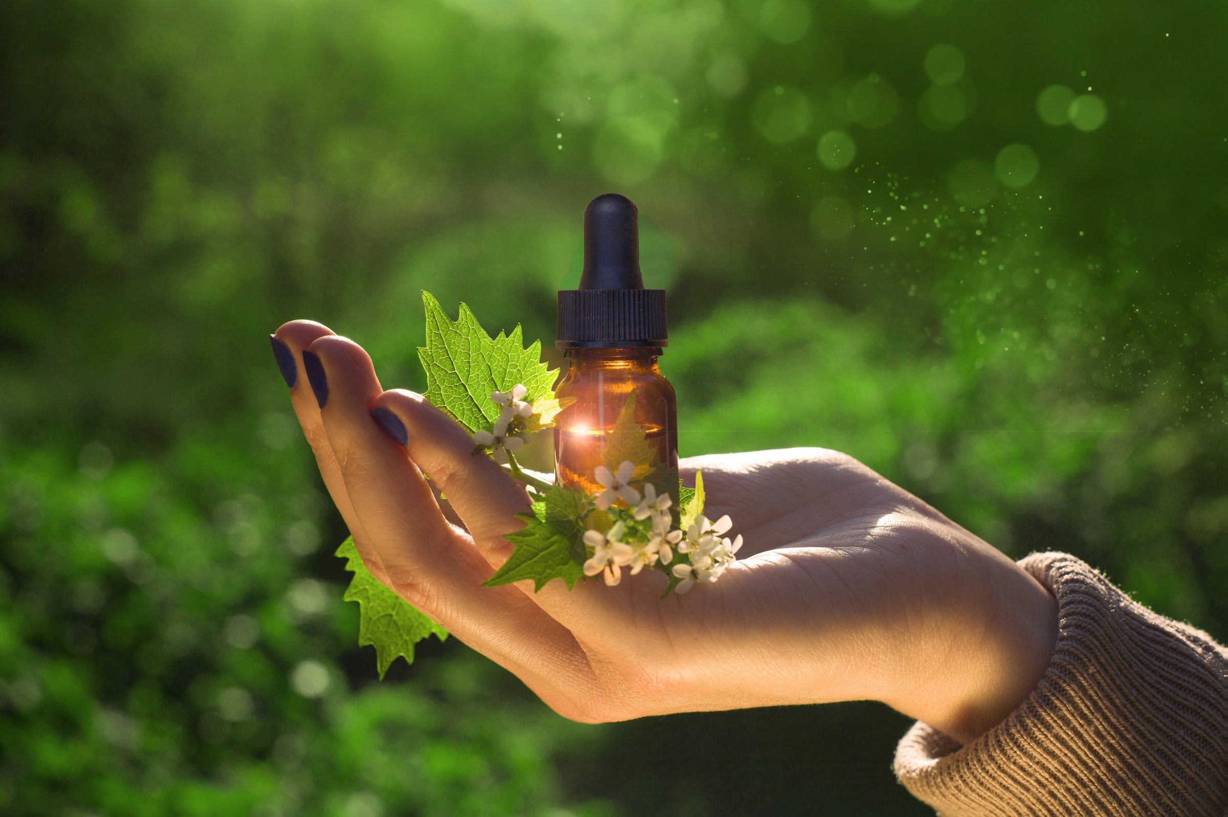 Natural medicine - herbal > Natural remedies - medicines