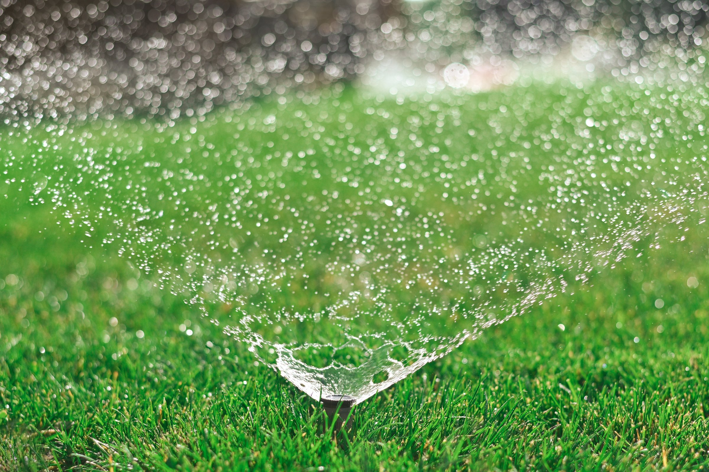 Sprinkler system spraying water over a lush green lawn
