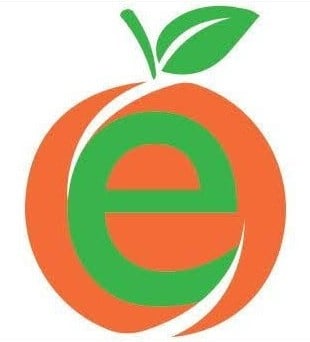 E Cooling Logo