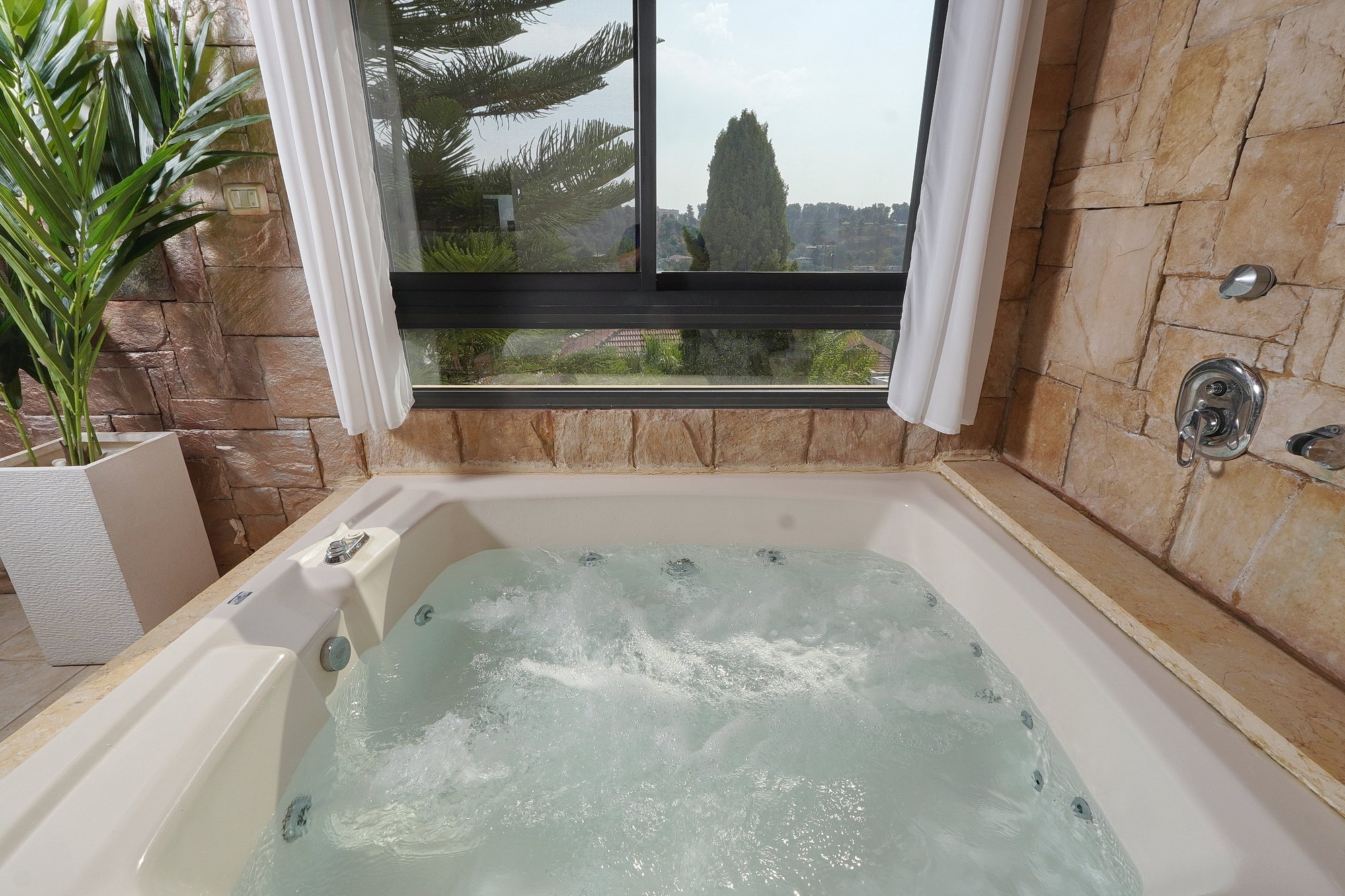 נוף ליער - נוף המתחם