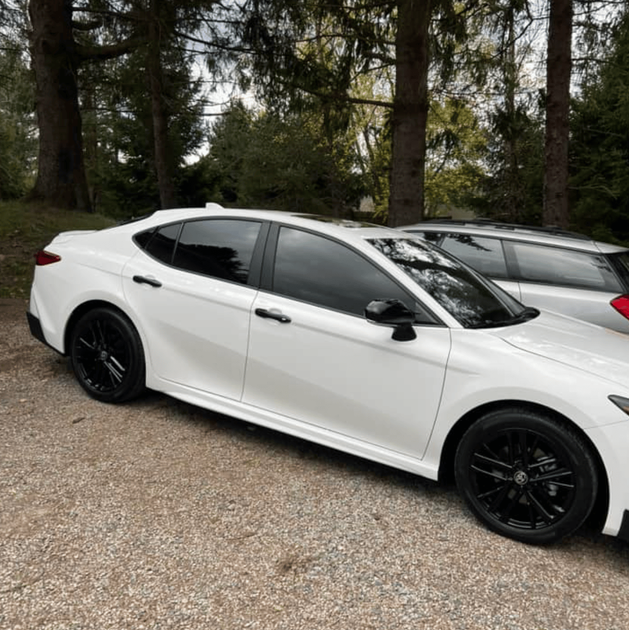 Luxury vehicle tinting