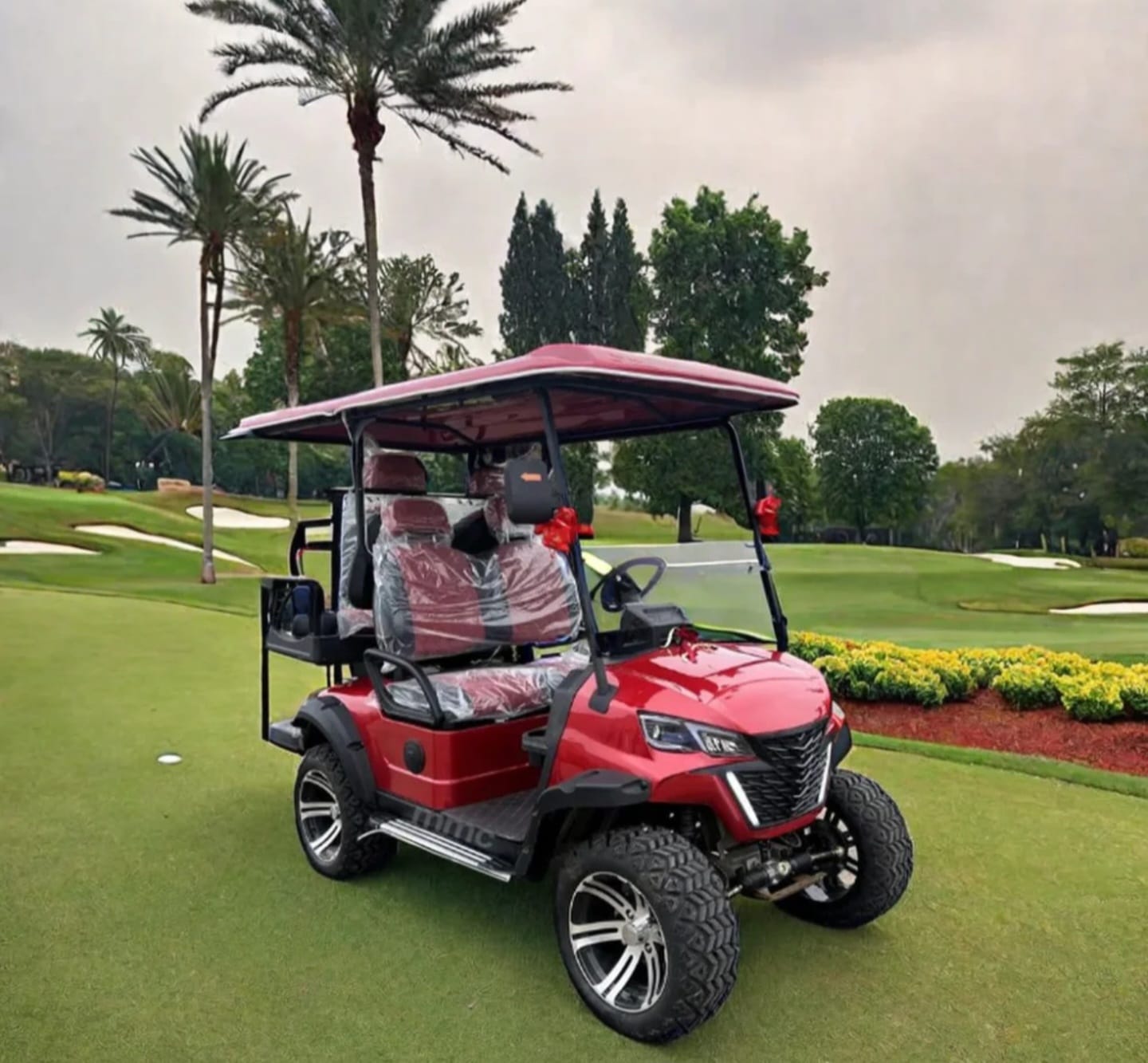 Zhianj Golf Todo Terreno - Detalles técnicos y acabados