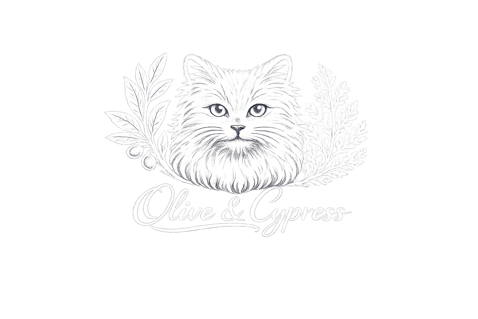 Olive & Cypress Cattery